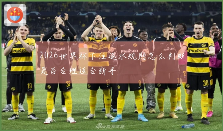 2026世界杯下注返水规则怎么判断是否合理适合新手 