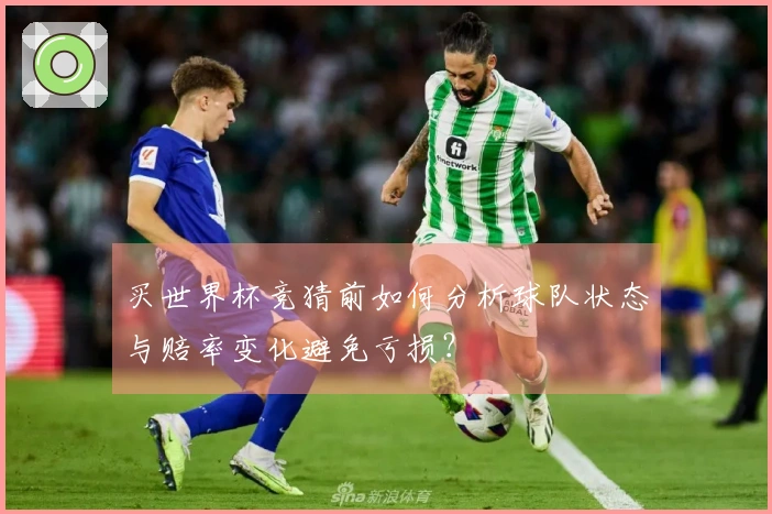 买世界杯竞猜前如何分析球队状态与赔率变化避免亏损？