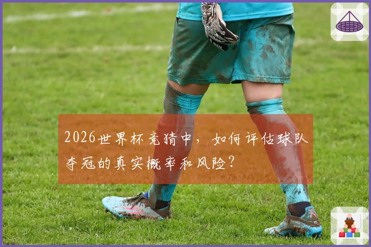2026世界杯竞猜中，如何评估球队夺冠的真实概率和风险？